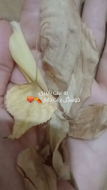 ست شومیز و شلوار مخمل کبریتی زنانه
