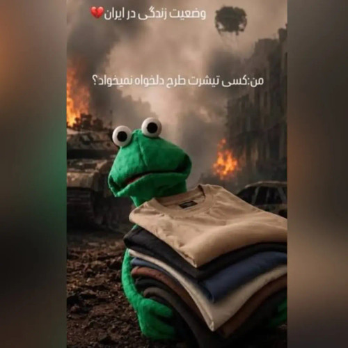 تیشرت باکسی چاپی پنبه سوپر